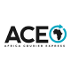 ACE (Africa Courier Express) logo